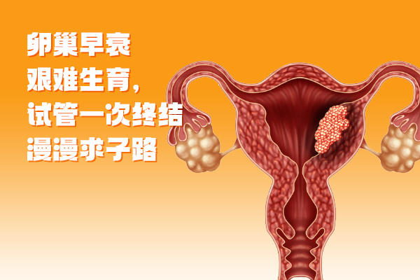 卵巢早衰艰难生育，试管一次终结漫漫求