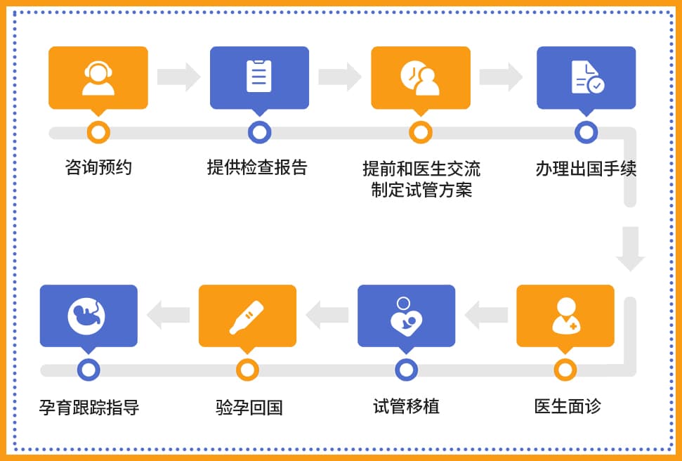 俄罗斯试管婴儿流程