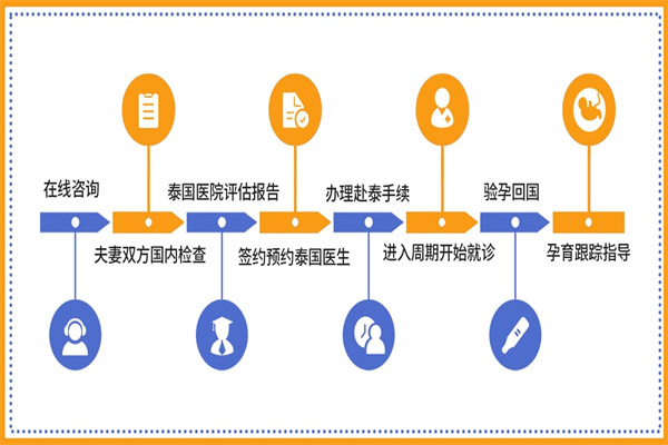 泰国试管流程