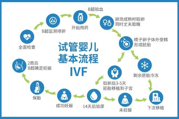 弱精症做二代试管的基本流程